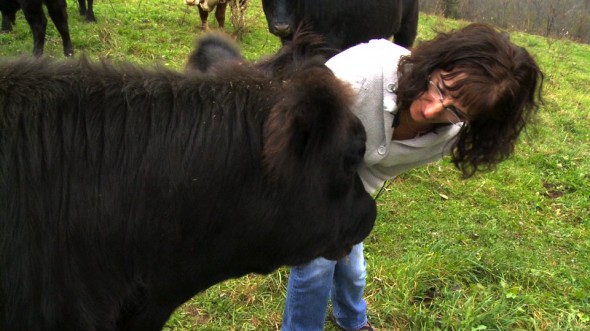 [http://farmandredmoon.com/wp-content/uploads/2011/10/Me-Face-to-Face-with-Black-Cow-590x331.jpg]