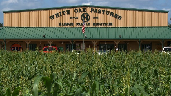 Abattoirs on farm at White Oak Pastures
