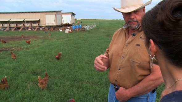 Will Harris, Chickens, White Oak Pastures