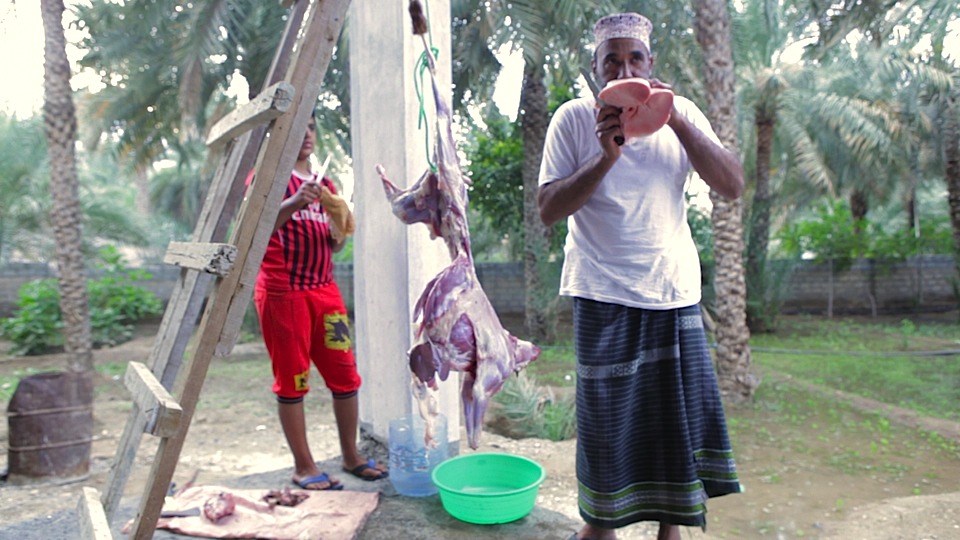 Image (Audrey Kali witnesses halal on-farm slaughter)