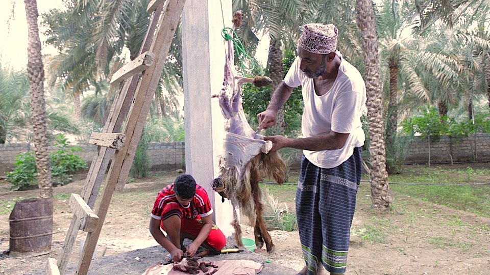 Image (Audrey Kali witnesses halal on-farm slaughter)