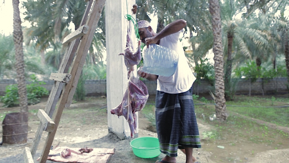 Image (Audrey Kali witnesses halal on-farm slaughter)