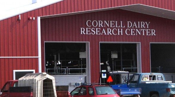 Cornell Dairy Barn Sign