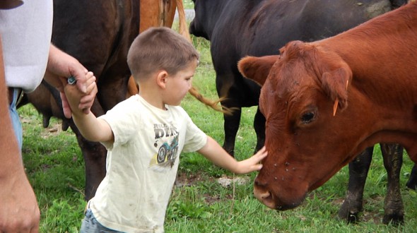 Duke with Cow