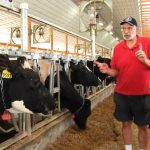 Joe and Audrey by Cows