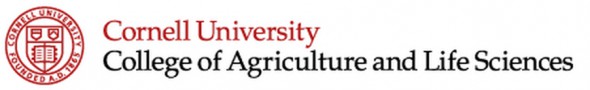 cornell logo