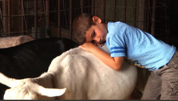 Precious Beau with Goat